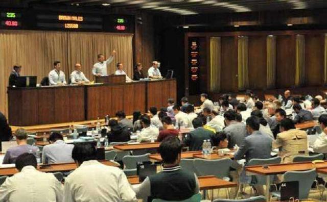 包双龙八字自学基础视频