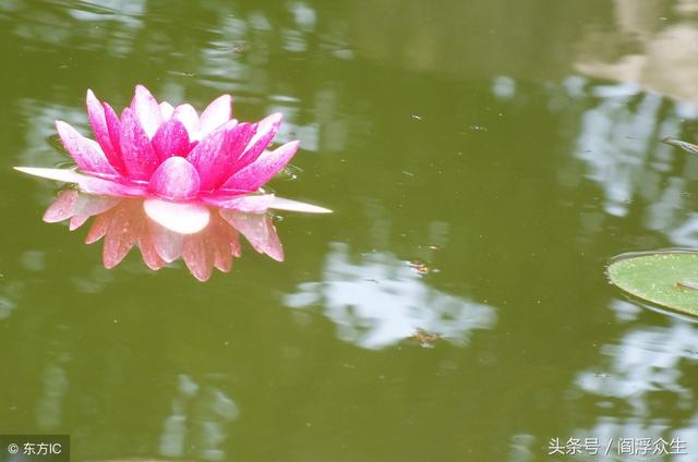 八字身杀两停