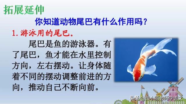 八字头就有什么字 八字头就有什么字