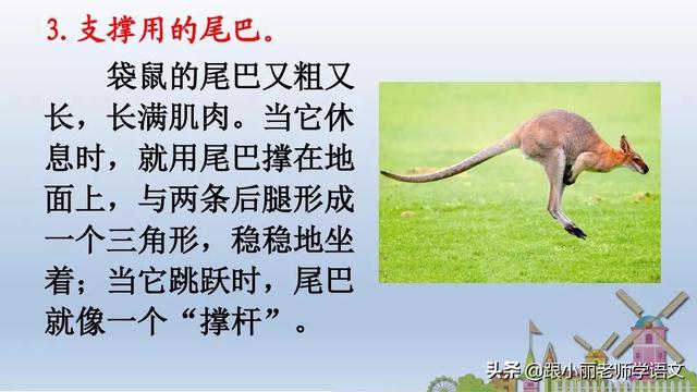 八字头就有什么字 八字头就有什么字