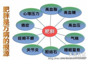 2018年最好的八字特征
