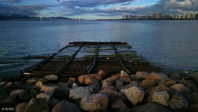 测试八字华盖 测试八字华盖