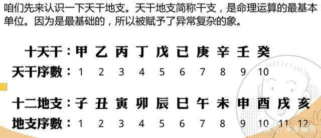 排八字天干地支图