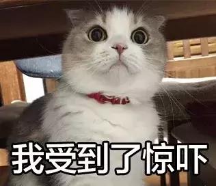 生辰八字可以给男友吗 生辰八字可以给男友吗