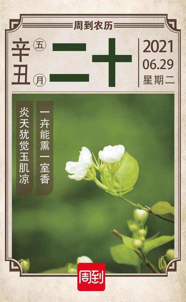 2018年农历五月二十二的八字