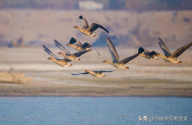 结婚生辰八字书写格式图片 结婚生辰八字书写格式图片
