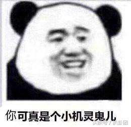 郑月娥八字 郑月娥八字