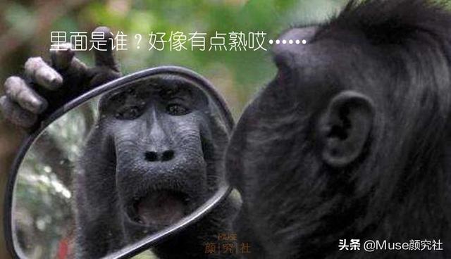 人中两侧发黑像八字胡 人中两侧发黑像八字胡