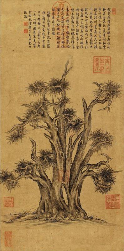 包双龙八字自学基础视频