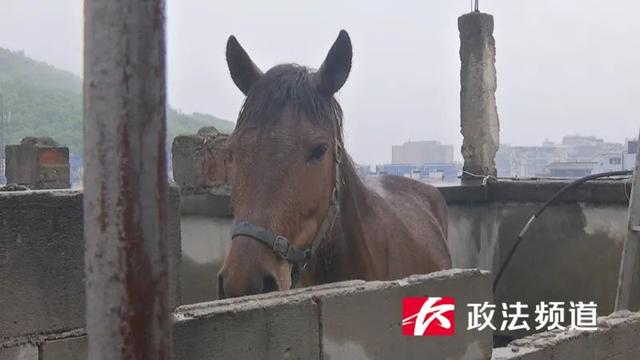 1996年4月12日八字 1996年4月12日八字