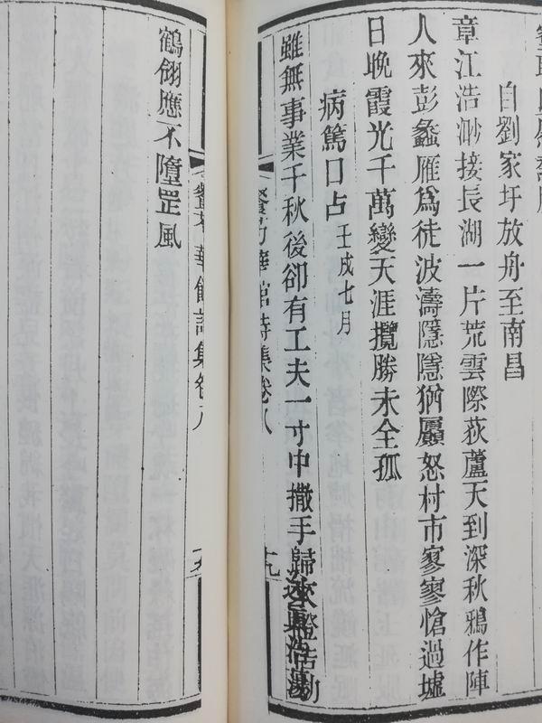 1995年闰八月十三八字