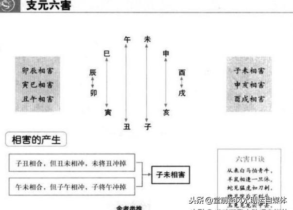 相害的八字 相害的八字