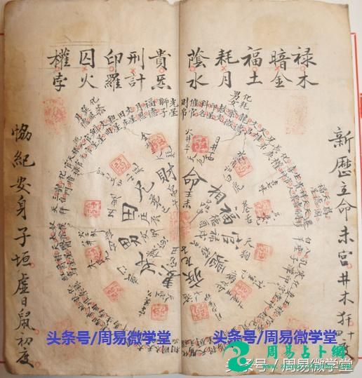 八字免费算命树