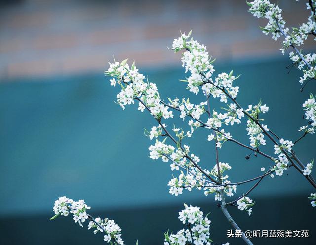 有关遇见的唯美句子八字