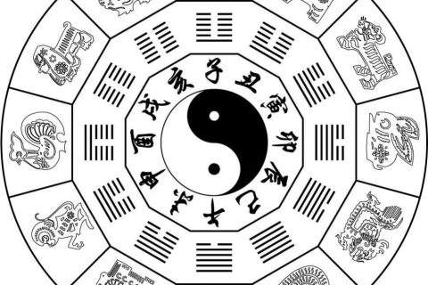 生辰属相八字五行查询