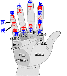 八字天干壬癸甲乙 八字天干壬癸甲乙
