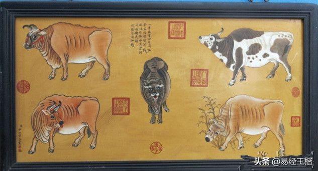 八字丑代表什么意思 八字丑代表什么意思