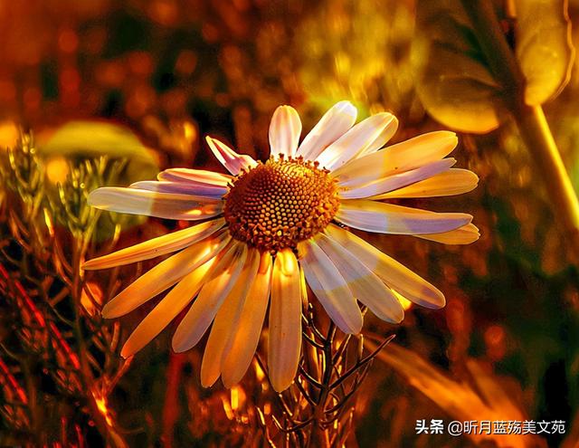 有关遇见的唯美句子八字