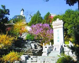 春华八字