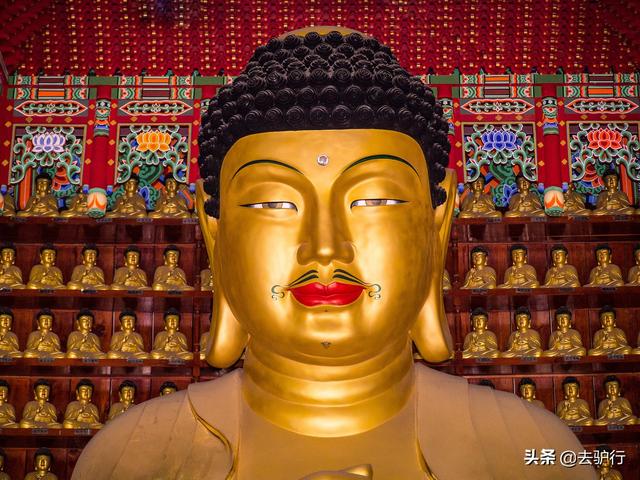 日本八字胡图片