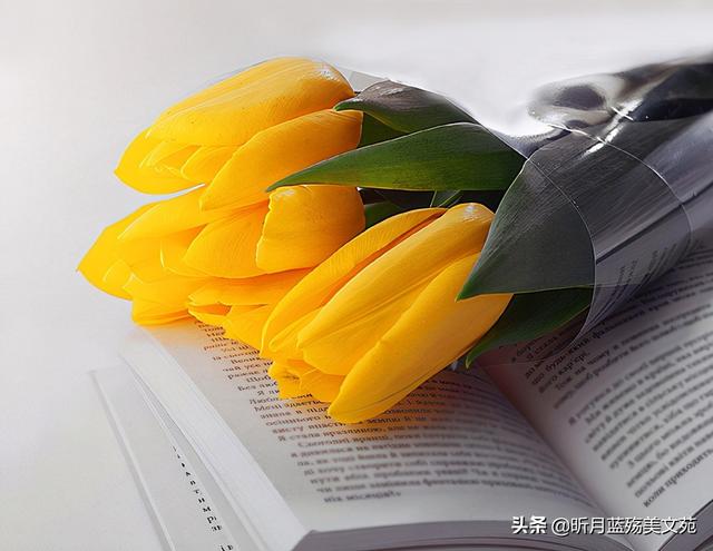 有关遇见的唯美句子八字