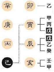 八字有根无根判断