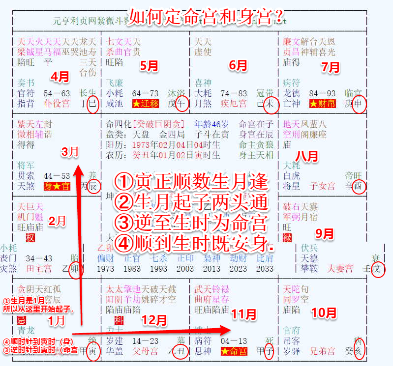 易星八字论命软件