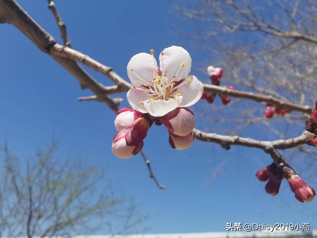 时辰八字不好
