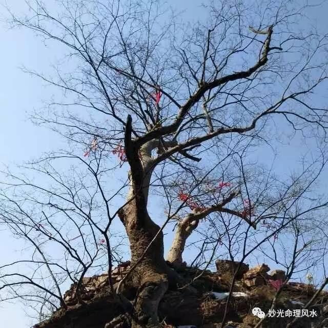 如果生辰八字不合能结婚吗
