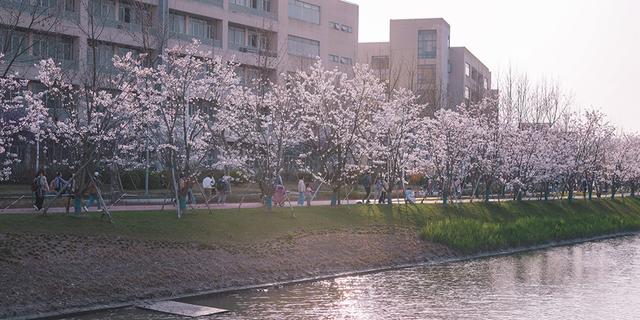 起名网生辰八字九宫格 起名网生辰八字九宫格
