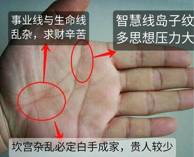 求财辛苦的八字