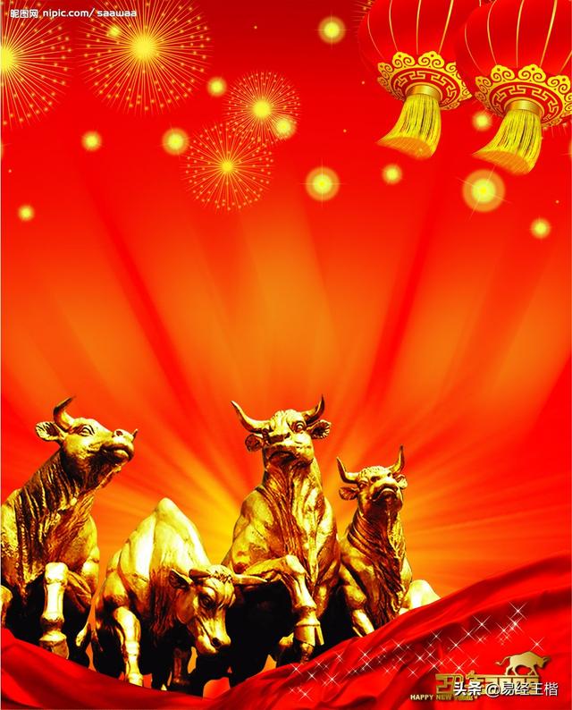 八字丑代表什么意思 八字丑代表什么意思