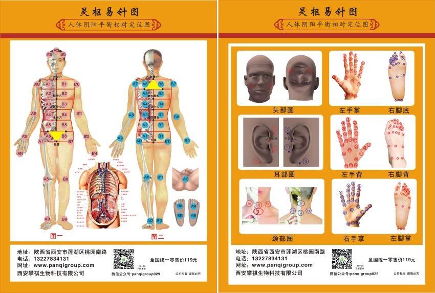 八字疗法的中医说