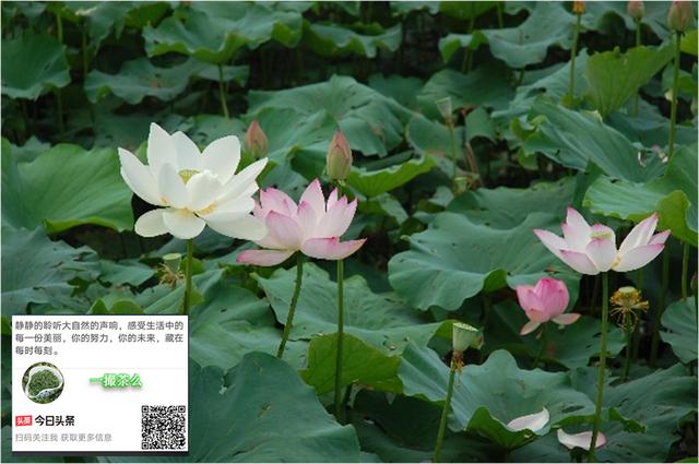 与道有缘的八字特征 与道有缘的八字特征