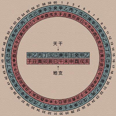 八字酉亥