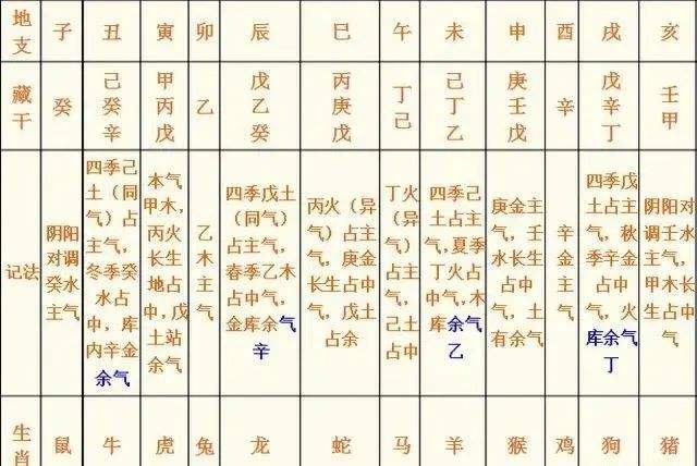 四柱八字分析实例软件