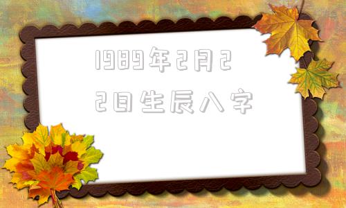 1989年2月22日生辰八字