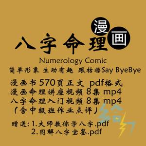 八字预测实例视频讲座
