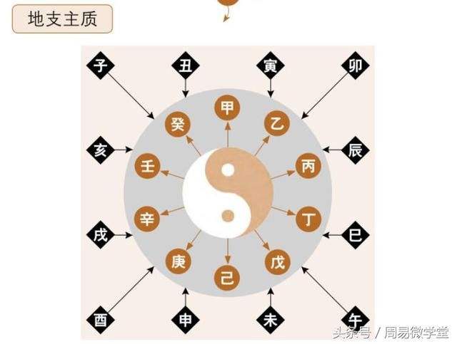八字地支双丑