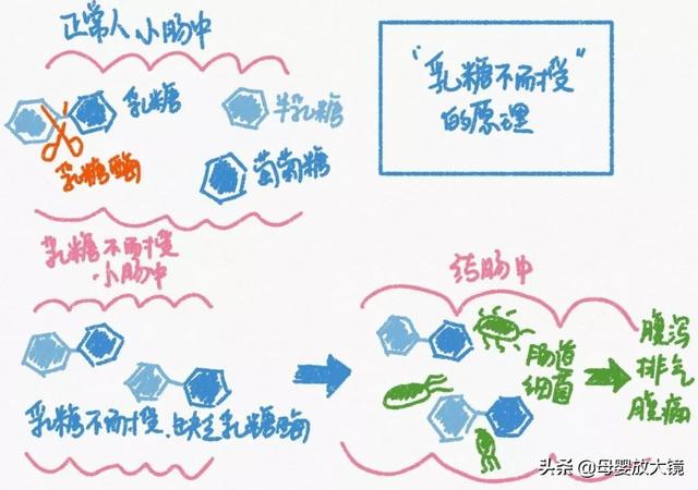 八字含水和木的单字有哪些 八字含水和木的单字有哪些