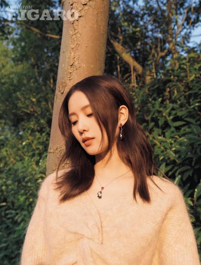 刘诗诗八字分析美貌 刘诗诗八字分析美貌