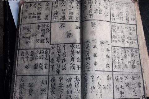 关于1995年1月1日八字算命的信息