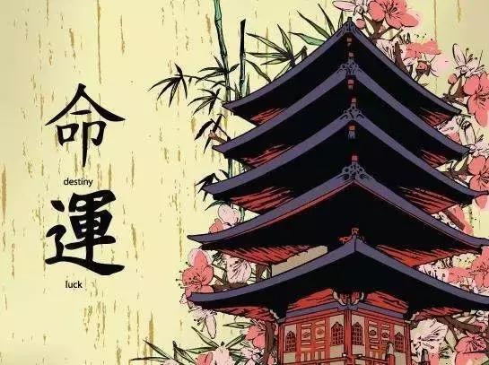 八字2013运程