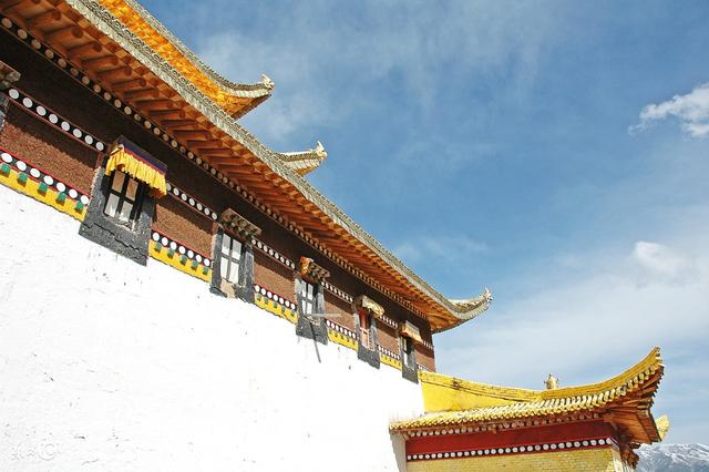 八字五行旺衰查询