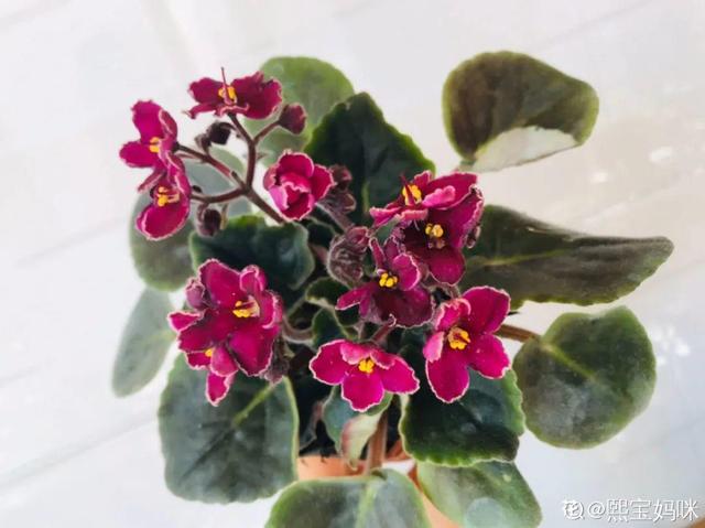 女命八字半阴半阳 女命八字半阴半阳
