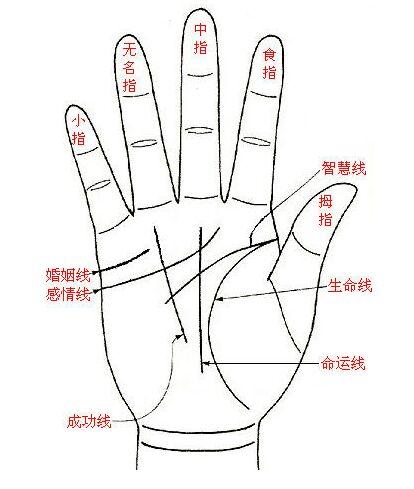 八字看阴阳体质