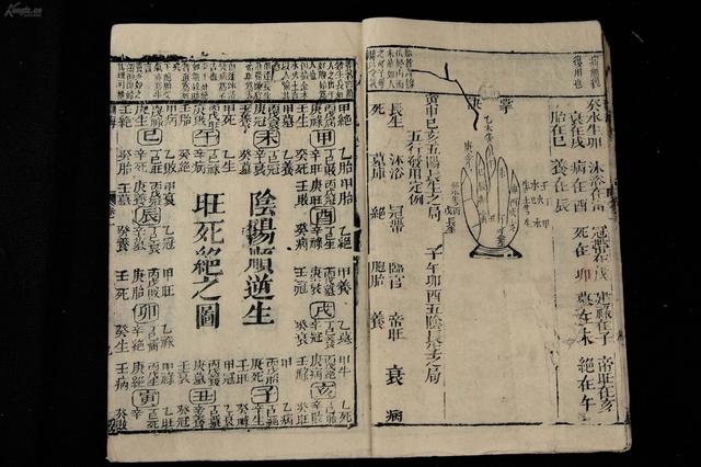 八字里食伤代表什么