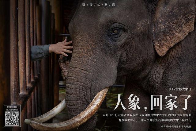 2019年11月22出生的八字