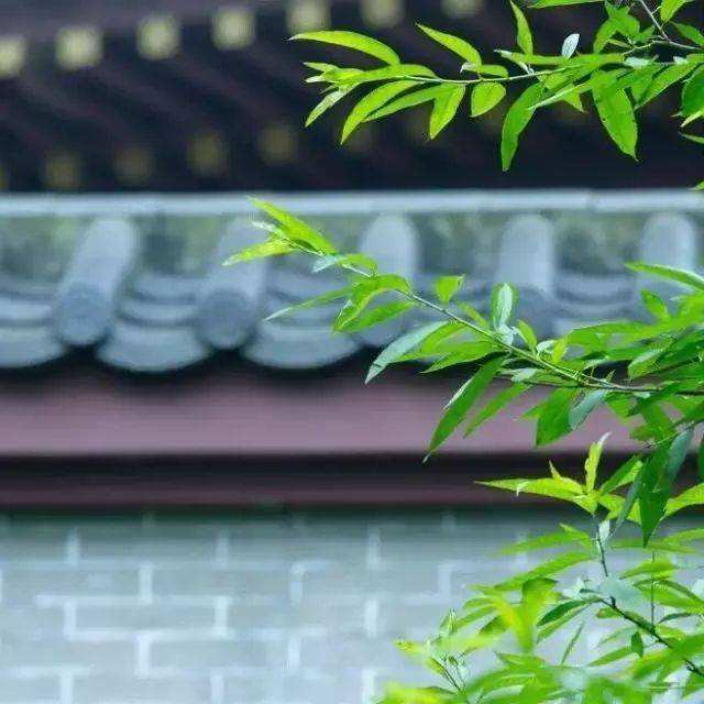 重情义的八字