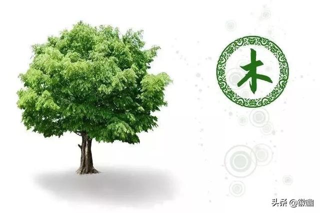 八字水旺缺木 八字水旺缺木